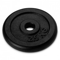 Набор чугунных окрашенных дисков Voitto 2,5 кг (2 шт)